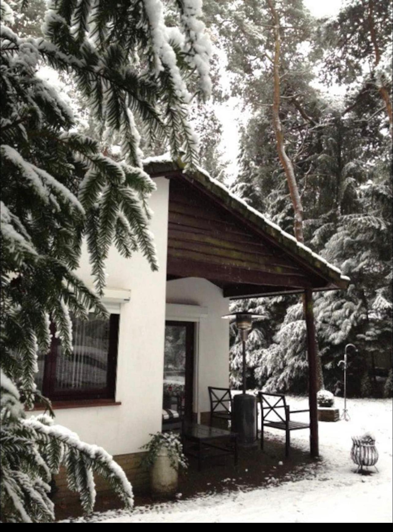 Magical Cottage In The Woods Барн Экстерьер фото